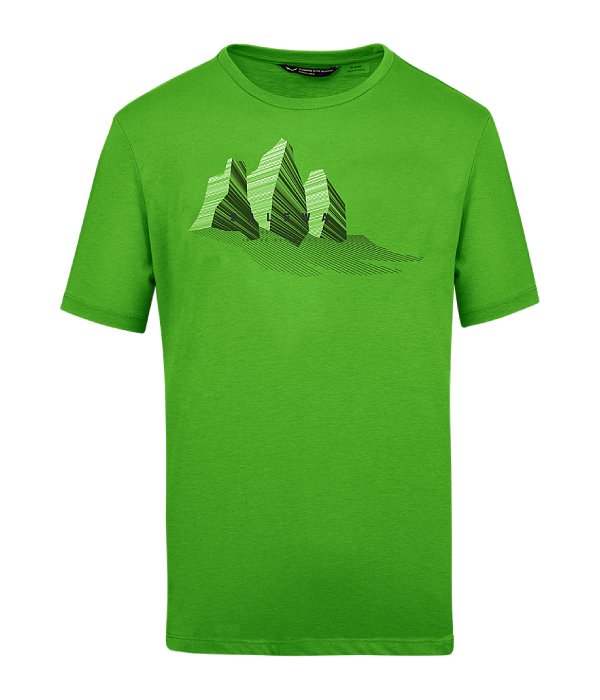 Salewa triko Lines Graphic DRY M, zelená, 48/M